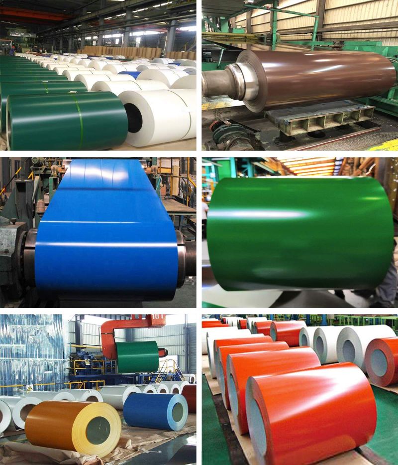 PPGI/PPGL Steel Coil